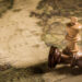 The Strategic View: India’s Security Doctrine in a Hardening Multipolar Order